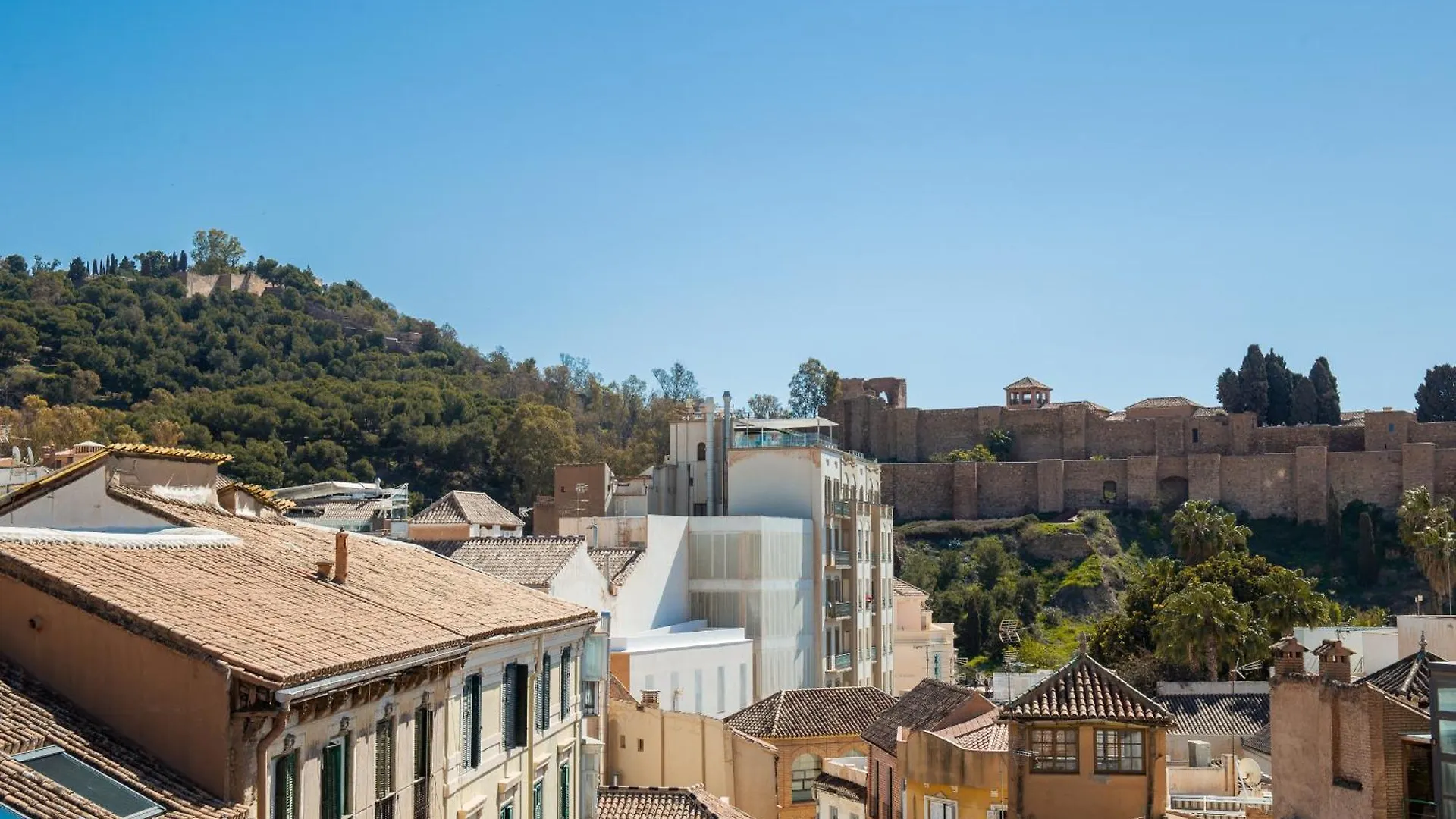 C89 - Luxurious Penthouse With Private Terrace Apartment Malaga